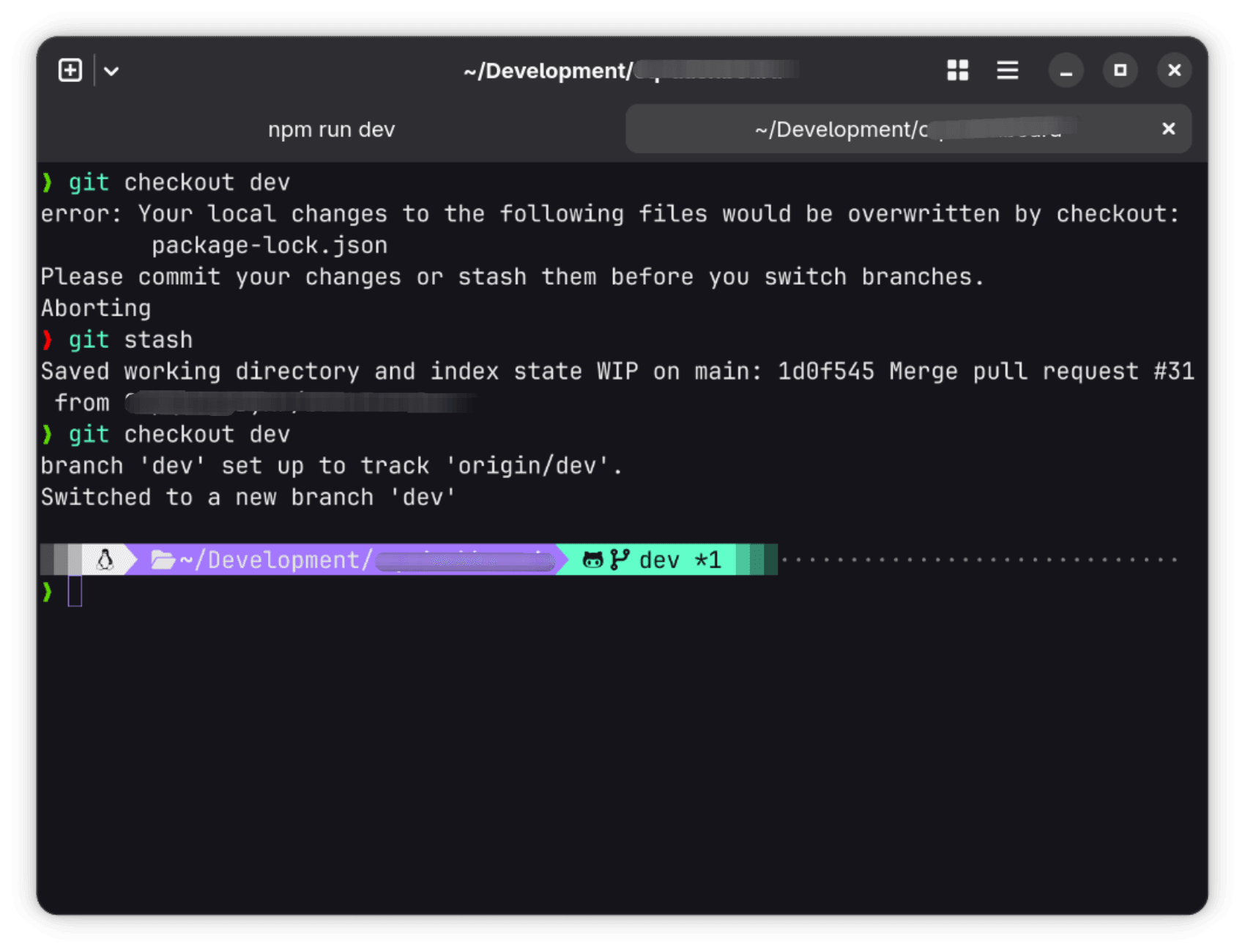 Git checkout error in terminal